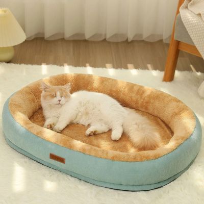 panier chat heureux