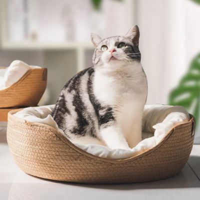 panier chat|Canpocat