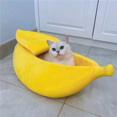 panier pour chat grand format