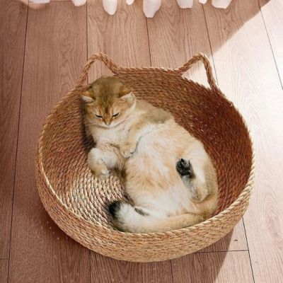 panier pour chat grattoir intégral
