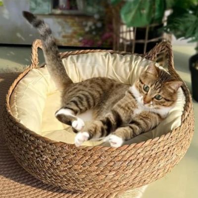 panier-pour-chat-osier-coussin-blanc