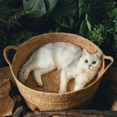 panier pour chat | Rotilux
