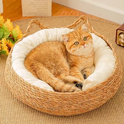 panier-pour-chat-osier-saisonnier