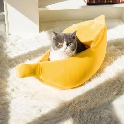 panier-pour-chat-protege