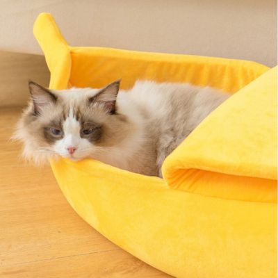 panier pour chat repos mérité