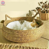 panier-pour-chat-rotin-dodo