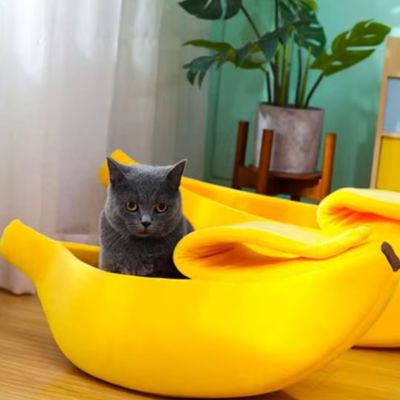 panier-pour-chat-singularite