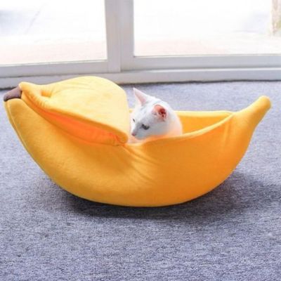 panier-pour-chat-singulier