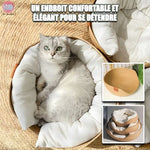 panier-pour-chat-surprise