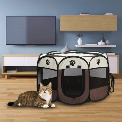 parc-pour-chat-adapté