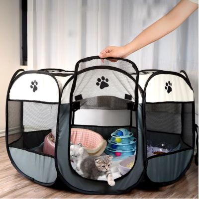 parc-pour-chat-ludiqsue