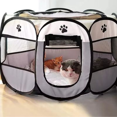 parc-pour-chat-lunettes