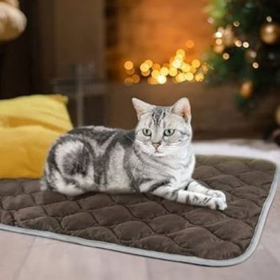 tapis-pour-chat-confort-reposant