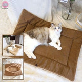 tapis-pour-chat-confortable