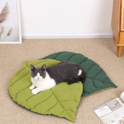 Tapis pour chat | Dourefuge