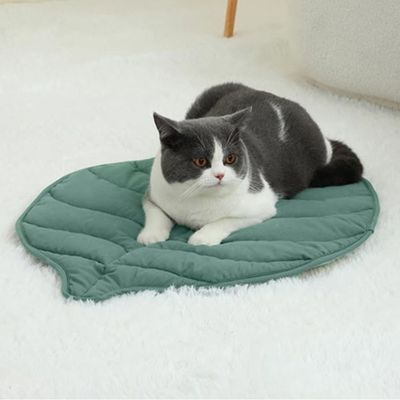 Tapis pour chat | Dourefuge