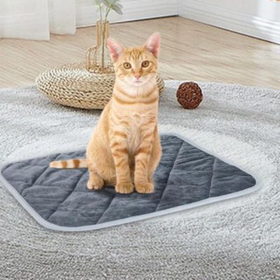tapis-pour-chat-imperméable
