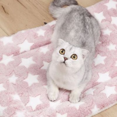 tapis-pour-chat-interieur