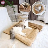 tapis-pour-chat-module