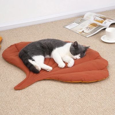 Tapis pour chat | Dourefuge