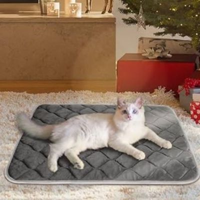 tapis-pour-chat-subliminal