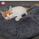 coussin-pour-chat-apaisant