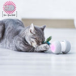 jouet-pour-chat-led-coloré